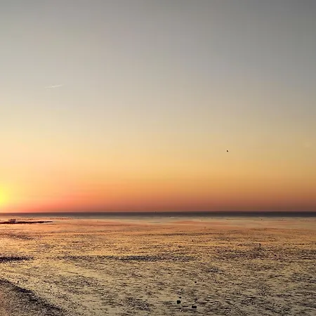 Tiny House Nature 11 Innenlage - Tiny Village Harlesiel Semesterbostad *